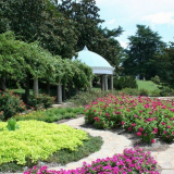 Hraniční květiny a tráva: které rostliny si vybrat pro dekoraci v z...